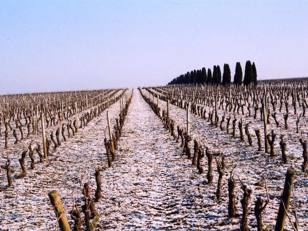 Château de la Galissonnière Le Pallet Esterno foto